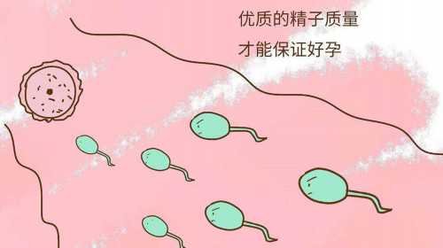 北京哺乳假一天几小时？为什么需要规定哺乳假