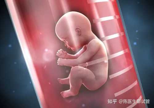 昆明试管代孕技术哪家最好,有哪些原因引起的不孕可以选择做武汉试管婴儿-上